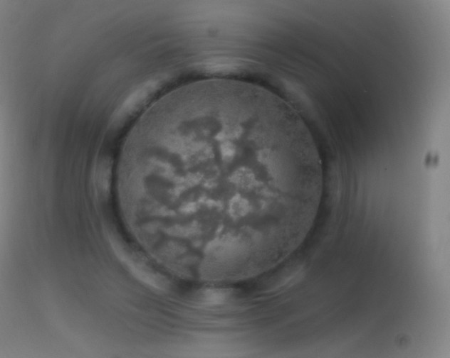 X0000114650495200910201511