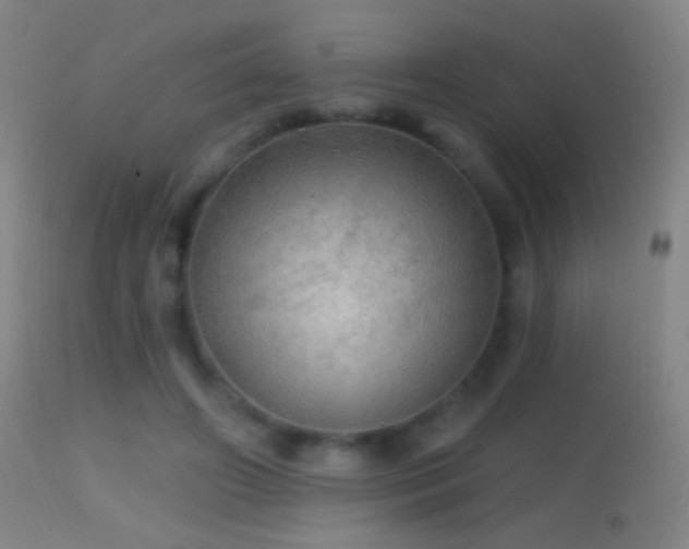 X0000114650498200910201511