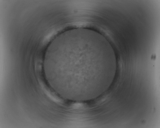 X0000114650499200910201511