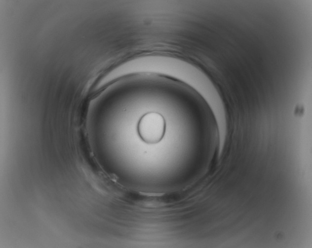 X0000114650500200910201511