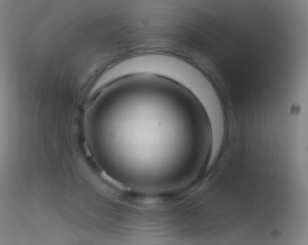 X0000114650501200910201511