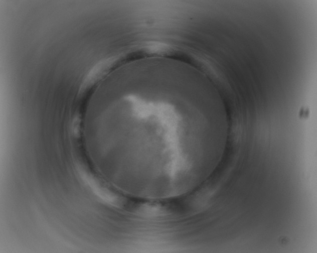 X0000114650502200910201511