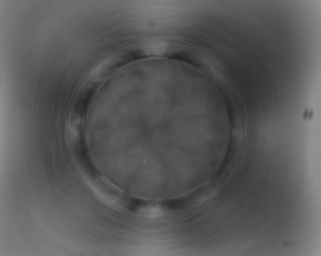 X0000114650503200910201511