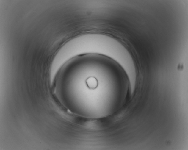 X0000114650505200910201511