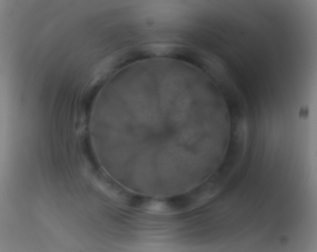 X0000114650507200910201511