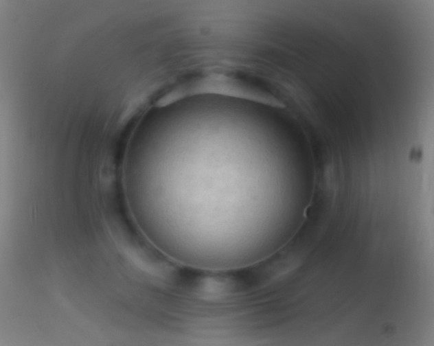 X0000114650508200910201511