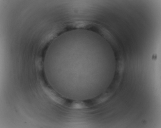 X0000114650510200910201511