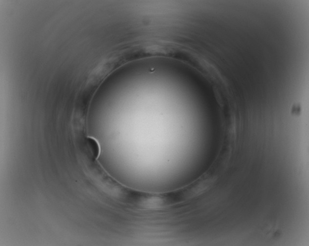 X0000114650513200910201511