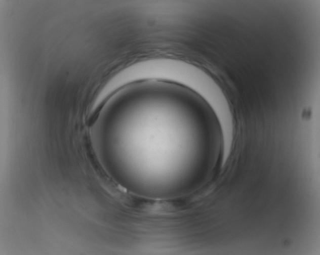 X0000114650517200910201511