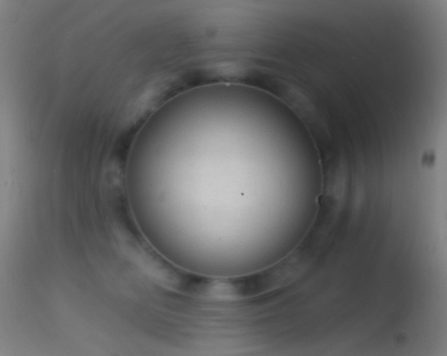 X0000114650518200910201511