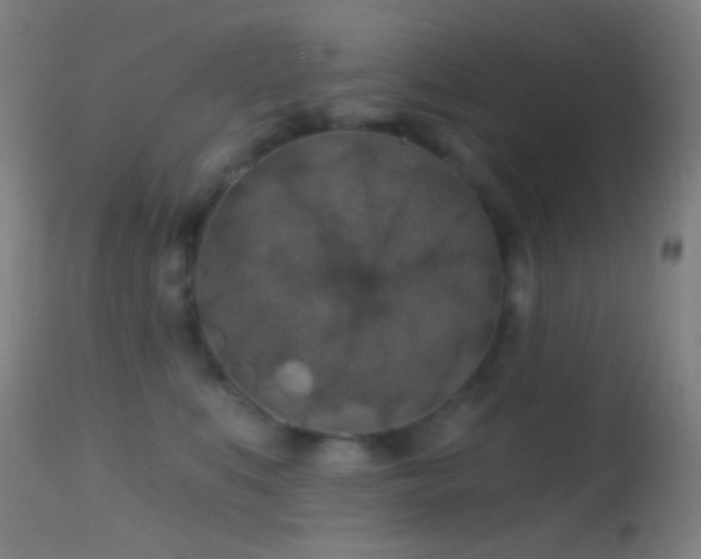 X0000114650519200910201511