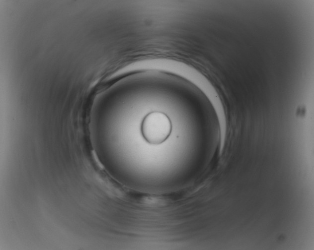 X0000114650520200910201511