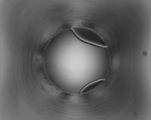 X0000114650521200910201511