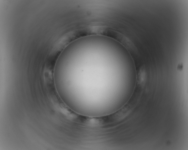 X0000114650522200910201511