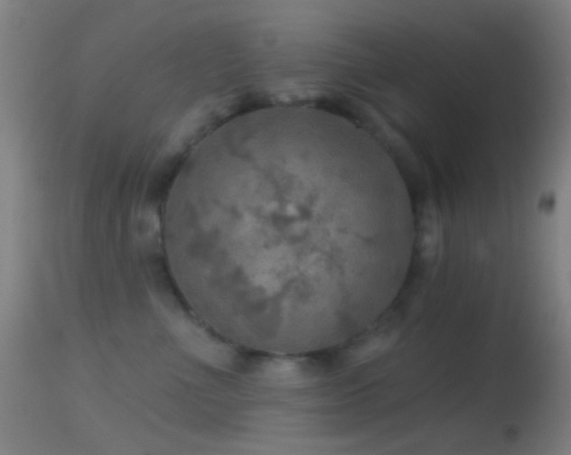 X0000114650523200910201511