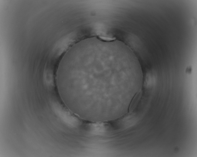 X0000114650524200910201511