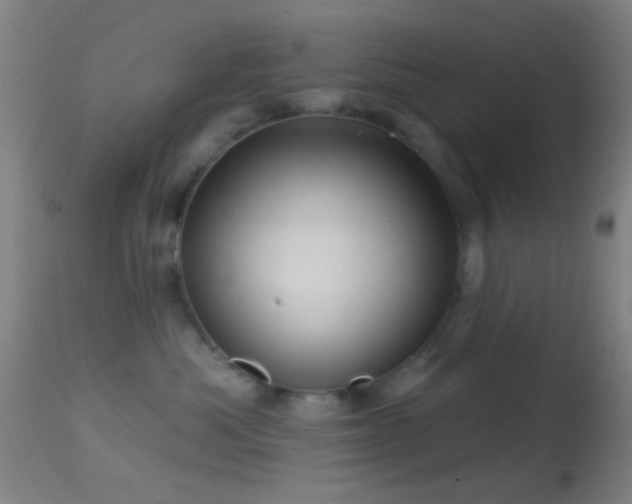 X0000114650525200910201511