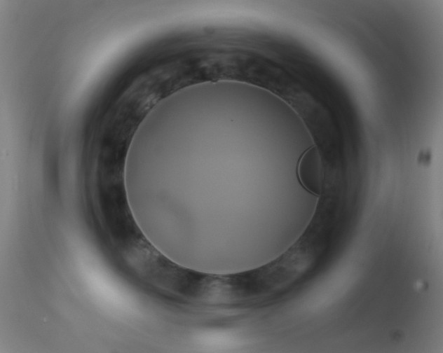 X0000114650526200910201511