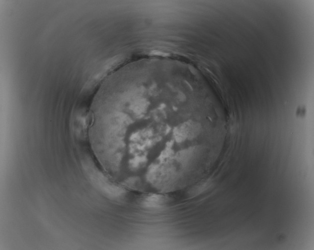 X0000114650527200910201511