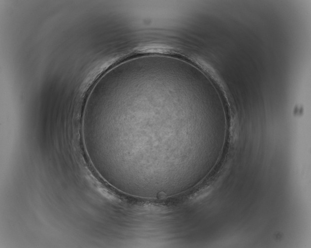 X0000114650529200910201510