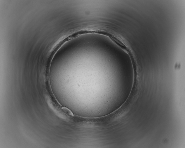 X0000114650530200910201510