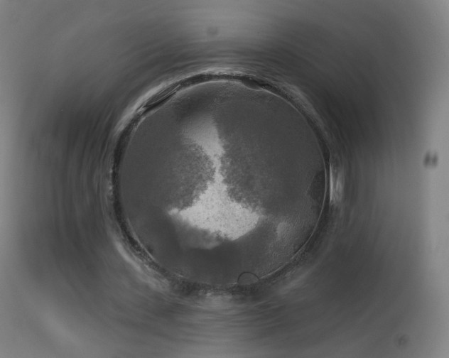 X0000114650531200910201510