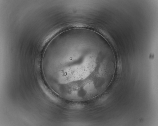 X0000114650533200910201510