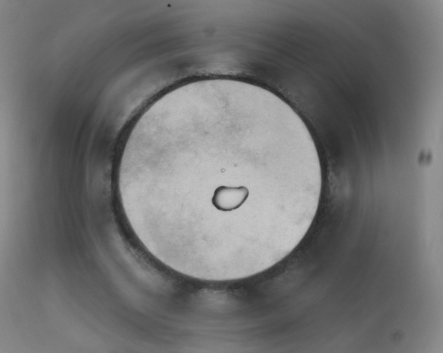 X0000114650534200910201510