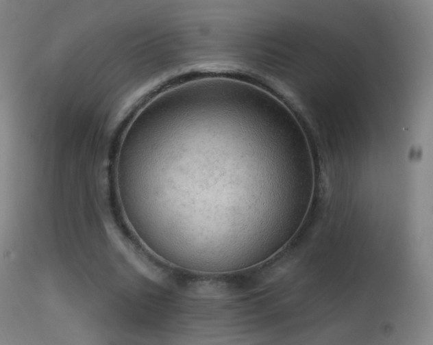 X0000114650535200910201510