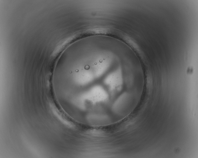 X0000114650537200910201510