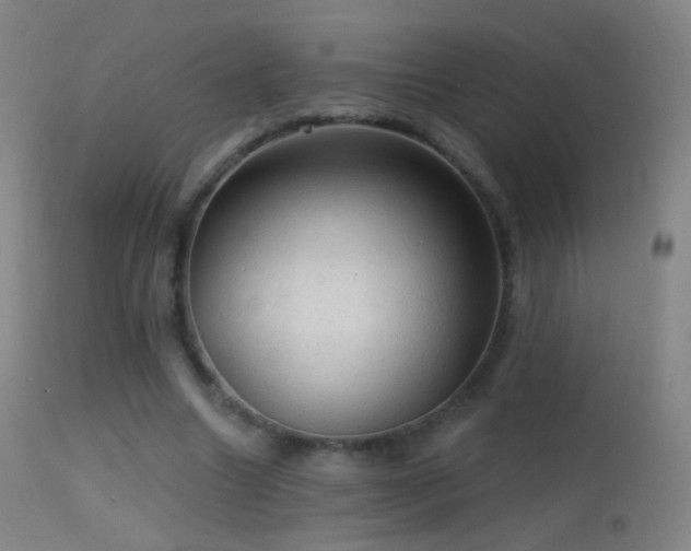 X0000114650538200910201510