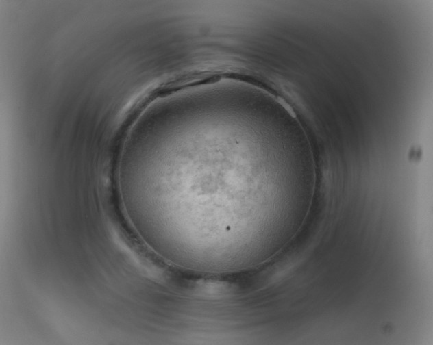 X0000114650539200910201510