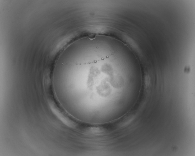 X0000114650541200910201510