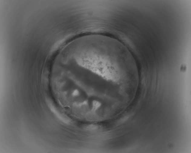 X0000114650542200910201511