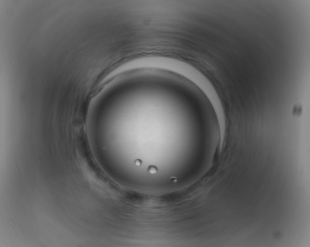 X0000114650546200910201511