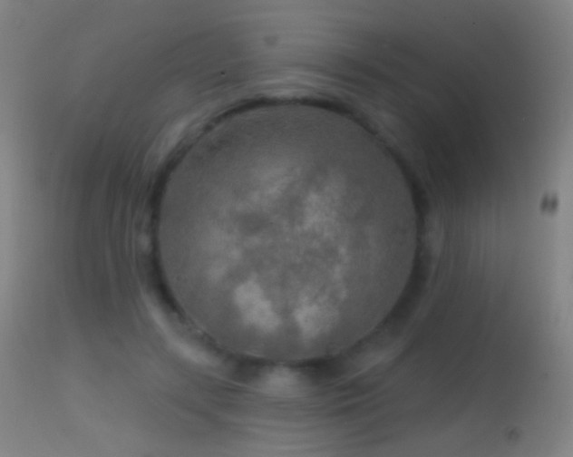 X0000114650547200910201511