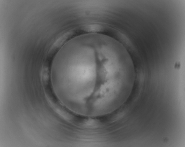 X0000114650549200910201511