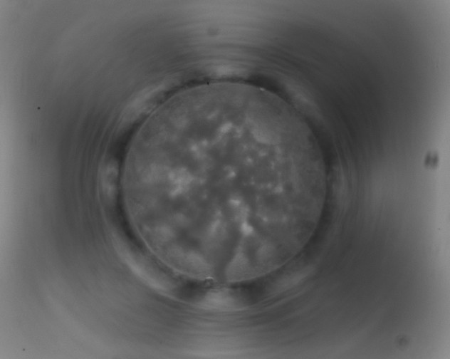 X0000114650550200910201511