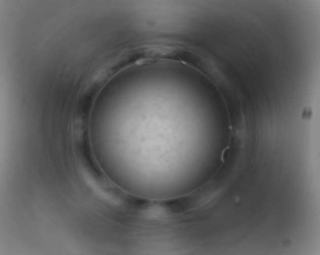 X0000114650551200910201511