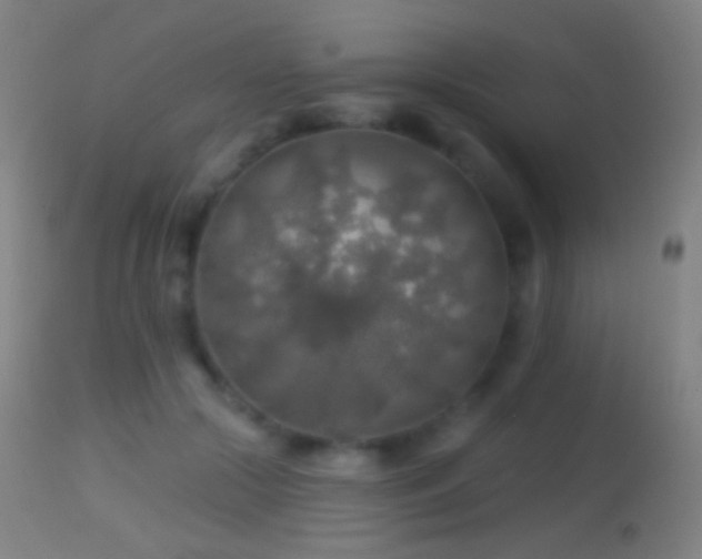 X0000114650553200910201511