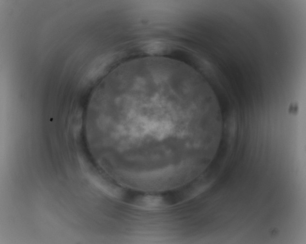 X0000114650554200910201511