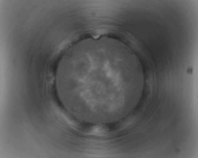 X0000114650555200910201511