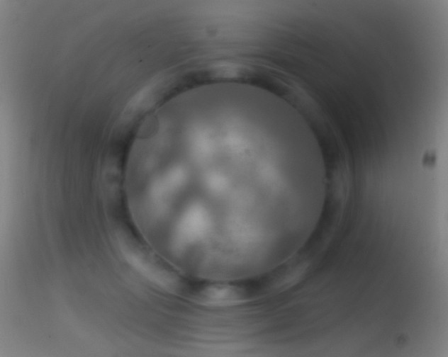 X0000114650557200910201511