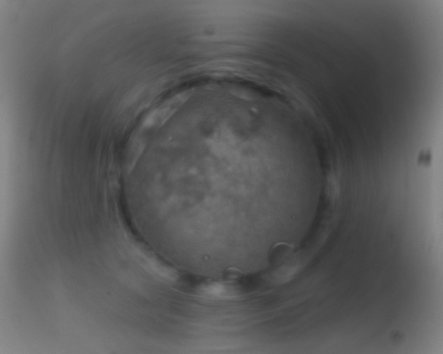 X0000114650561200910201511