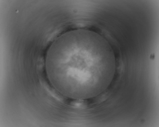 X0000114650563200910201511