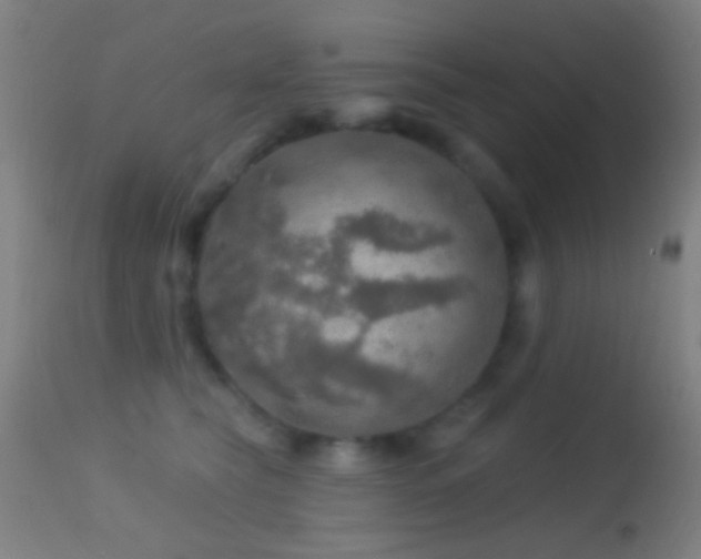 X0000114650565200910201511