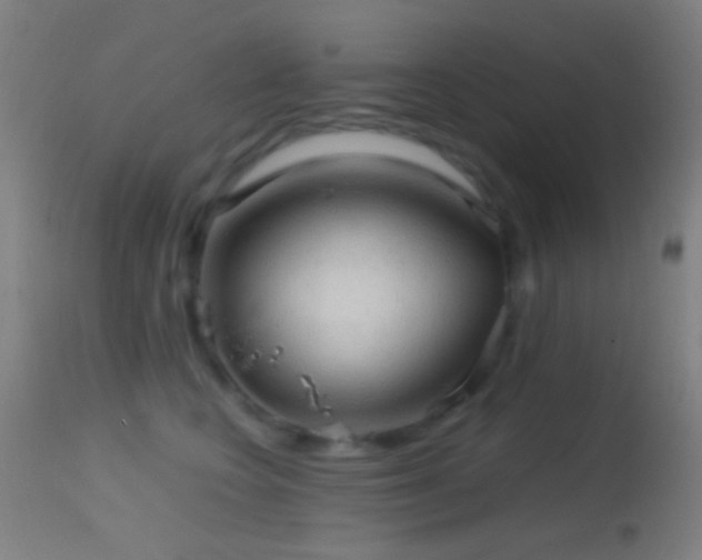 X0000114650566200910201511