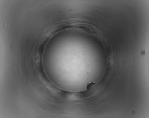 X0000114650567200910201511