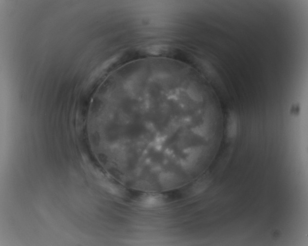 X0000114650569200910201511