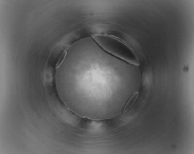 X0000114650570200910201511